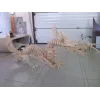  Kit vectorial de tăiere laser dragon 3D pentru descărcare instantanee