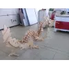  Kit vectorial de tăiere laser dragon 3D pentru descărcare instantanee