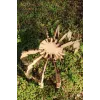  Edderkopstol 3D laserskåret vektor skabelon til øjeblikkelig download